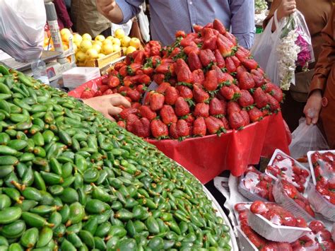 Folks reserve fruit trees for shipment in winter & early spring. 12 Yummy Fruits You Must Try in Iran - My Persian Corner