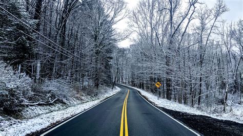 Wallpaper Nature Landscape Forest Snow Road Dead Trees 1920x1080