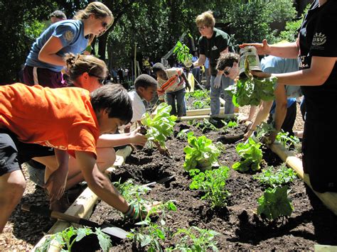 Lets Hear It For Youth Gardens Plant Talk