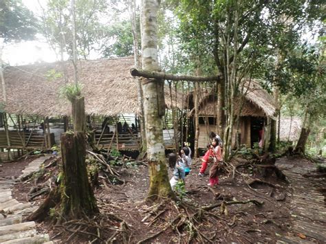 Offering a cosy environment, they provide a tranquil experience for visitors to recharge and immerse themselves in nature. Unschooling Homeschool: Terra Farm Tree House, Brinchang ...