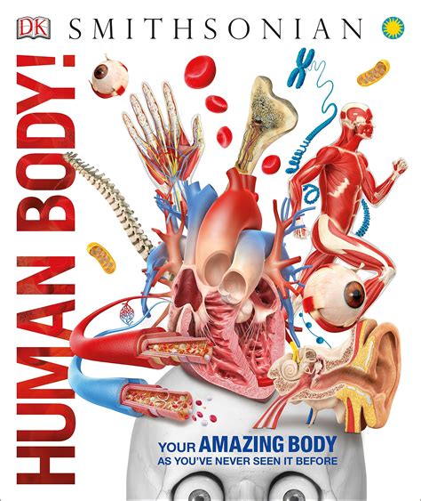 Human Body Knowledge Encyclopedias