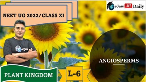Neet Biology Plant Kingdom L 6 Angiosperm Class 11 Egyan Neet