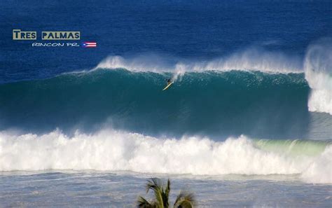 This Week 3618 At Tres Palmas Rincon Puerto Rico Surfer Leif