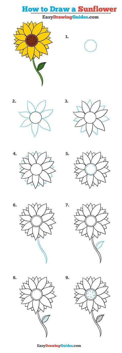 How To Draw A Sunflower Really Easy Drawing Tutorial