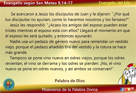 Misioneros De La Palabra Divina Evangelio San Mateo 914 17