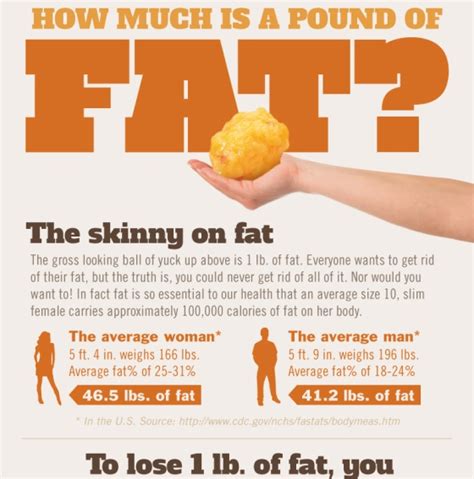 How Much Is A Pound Of Fat Infographic