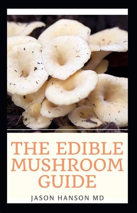 The Edible Mushroom Guide All You Need To Know About Edible Mushroom