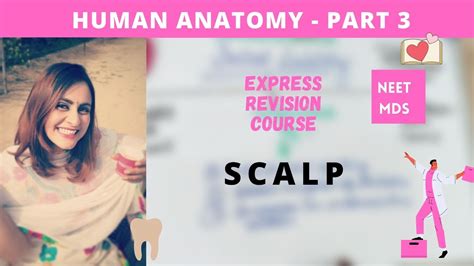 Human Anatomy Scalp YouTube