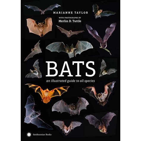 Bats An Illustrated Guide To All Species Bioweb Colombia