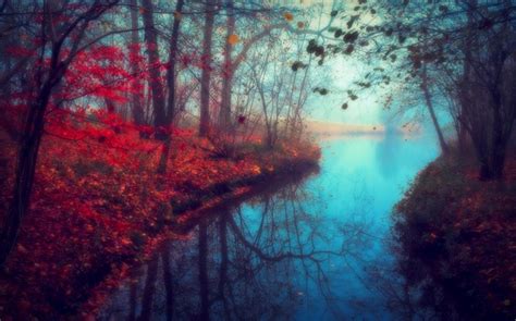 Beautiful Nature Scenery Autumn River Trees Red Leaves Hd