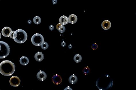 Free Stock Photo 4730 Bubble Assortment Freeimageslive