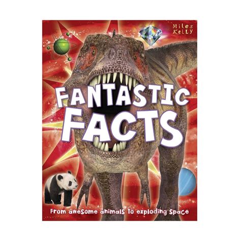 Fantastic Facts Book Big W