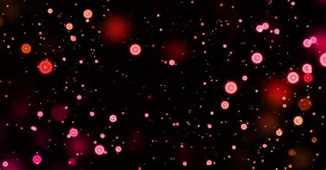 Red Particles Moving Slowly Animation Background Video Motion Graphics