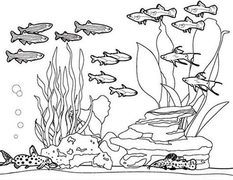 You normally observe the specific colors other women and men see. Amazing Picture of Fish Tank Coloring Page - NetArt | Fish ...