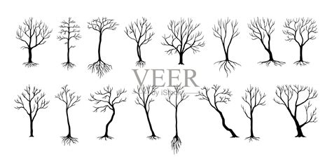 Naked Trees Silhouettes Black Bushes And Trucks With Bare Branches