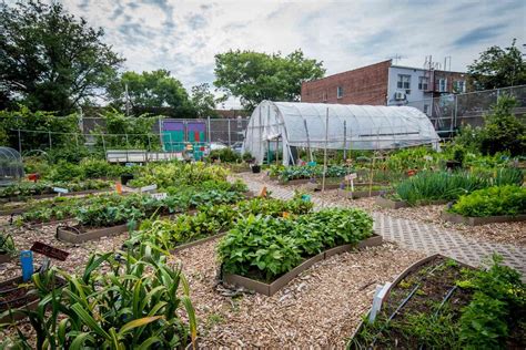 What Is A Community Garden And Should You Join One Allrecipes