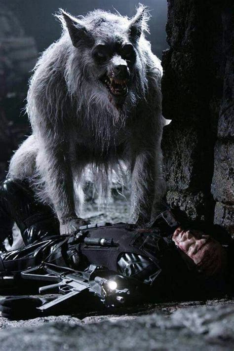 The White Wolf Werewolf Art Werewolf Underworld