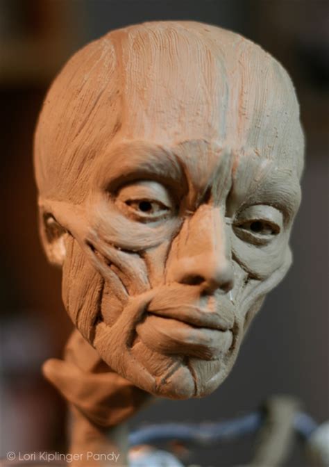 Is one of the largest sculpture suppliers in the world. Ecorche - Sculpting a portrait bust muscle by muscle ...