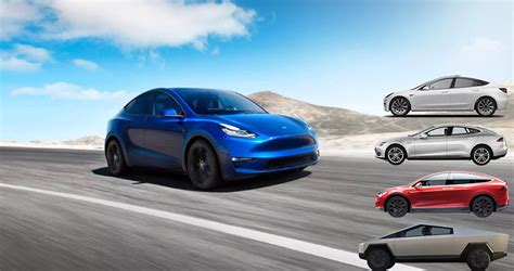 Tesla Model Y Body Size Comparison With Model Model S Model X And