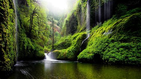 Обои Орегон река вода водопады природа лес лес зеленый
