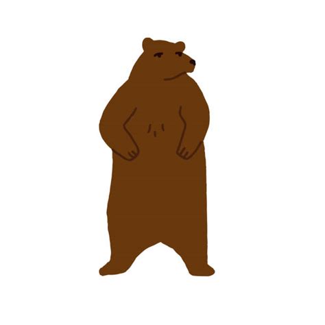 190 Grizzly Bear Standing Up Drawings Illustrations Royalty Free