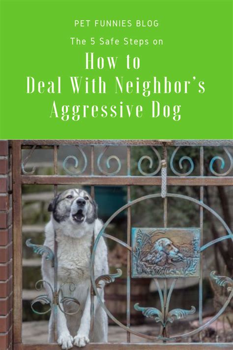 The 5 Safe Steps On How To Deal With Neighbors Aggressive Dog