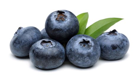 Health Benefits Of Blueberries University Health News