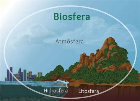 La Biosfera Y Sus H Bitats La Biosfera Lugar De Vida Hot Sex