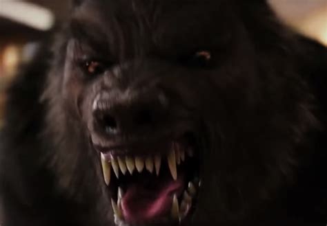 Facts And Myths About Werewolves Some Interesting Facts