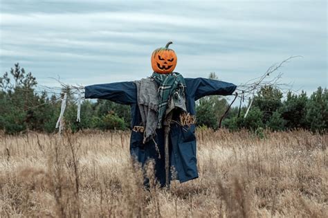 Premium Photo A Scary Scarecrow With A Halloween Pumpkin Head In A