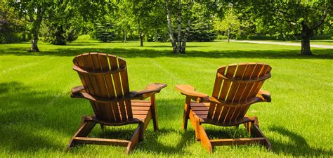 What To Expect Good S Tree And Lawn Care