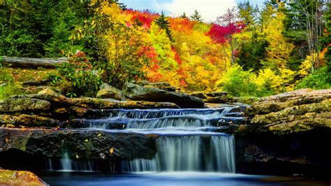 Waterfall Stream On Rock Between Colorful Autumn Trees Nature Hd