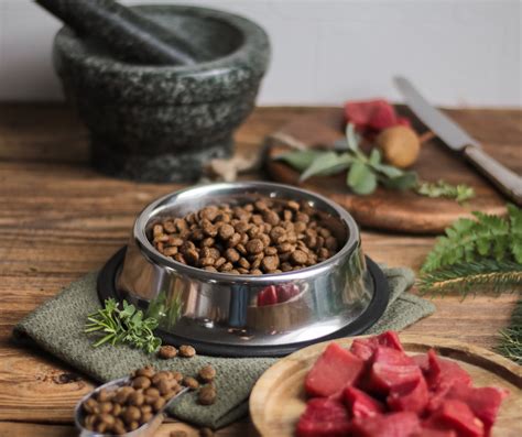 20 Best Fresh Dog Foods In 2024 Discover Magazine