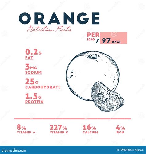 Vector Nutrition Facts Of Orange Vector Stock Vector Illustration