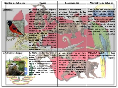 Cuadro comparativo Especies en Peligro de Extinción