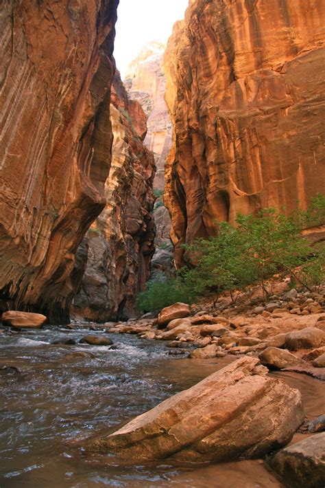 The Narrows The Narrows Zion National Park Ut Lukas Vermeer Flickr