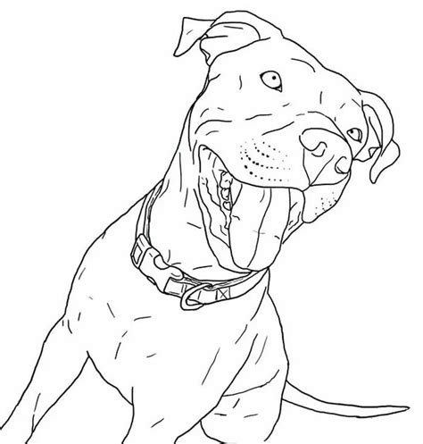Pitbull Coloring Pages Pdf Dog Coloring Page