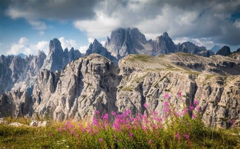 Dolomite Mountains In Italy Spring Landscape Meadow With Wild Flowers