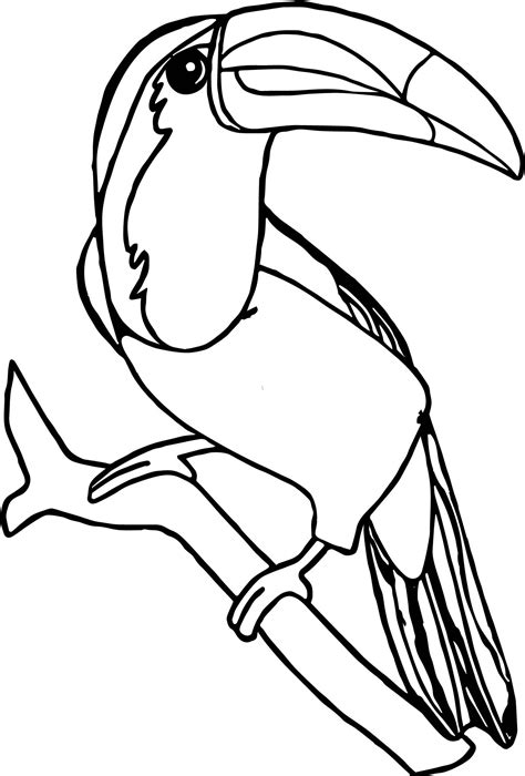 Rainforest Toucan Flying Coloring Pages