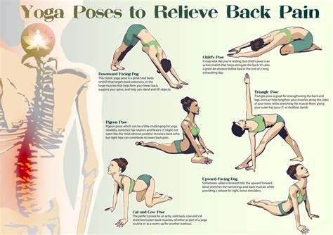 The Best Yoga Poses You Can Do In 8 Minutes To Relieve Back Pain — Info