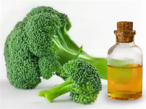 Check spelling or type a new query. Penggunaan Minyak Biji Brokoli Semakin Digemari dalam ...