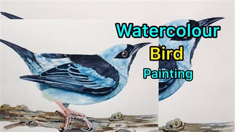 How To Paint A Bird In Watercolour Watercolor Painting Tutorial Youtube