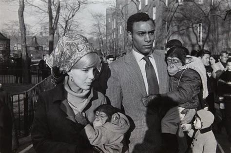 Central Park Zoo New York By Garry Winogrand Artsalon