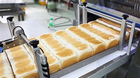 Modern Food Processing Technology Amazing Automatic Food Processing