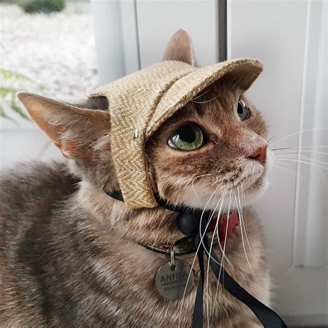 Classic Cat Hat Cap For Cats And Kittens Yellow Herringbone Etsy