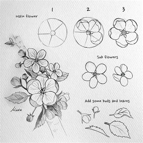 15 How To Draw Flowers Step By Step Tutorials Beautiful Dawn Designs