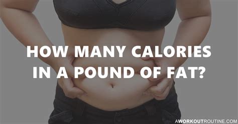 How Many Calories In A Pound Of Fat And How To Lose It