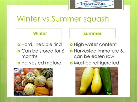 Ppt Winter Squash Powerpoint Presentation Free Download Id2521435