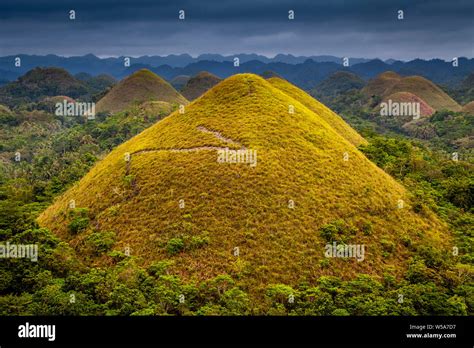 The Chocolate Hills Carmen Bohol The Philippines Stock Photo Alamy