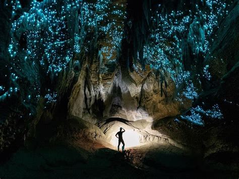 The Waitomo Glowworm Caves An Out Of This World Light Show Experience